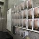 鬼門開北市驚見「牆上密集人臉事件」！住戶嚇壞