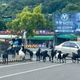南投水里台16線驚見羊群　15隻黑白羊佔車道駕駛傻眼