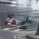 影/高雄89猴惹事！「零煞車高速衝撞」釀1重傷1命危