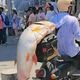 陸男釣到30公斤大魚綁車上「遊街炫耀」　警：沒違法但不鼓勵
