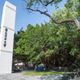 清大游泳池驚傳溺水　畢業校友突昏迷浮水面急送醫搶命