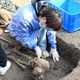 陸最新考古重大發現！8000多年前最早木棺出土