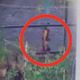 影/台中狂男嗆「不怕死都來」斷魂菲籍男手中　黑歷史全曝