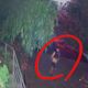 台中狂男草莓園遭捅5刀斷魂！　菲籍嫌犯行兇前「正在約會」