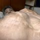 健康堪憂…連體嬰弟弟忠義「嚴重腹脹照曝光」　PO文喊：不會放棄