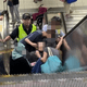 外籍看護永春站推輪椅誤闖手扶梯！翁重心不穩引乘客連環跌