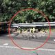 影/國3慘亡噩耗！拖吊車遭大車撞擊　司機「人剩下一半」