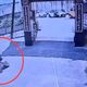 影/淡水老婦遭陸籍媳婦棄屍成白骨　拖行李箱最新畫面曝