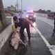 台61線驚傳大豬墜車　倒臥路肩慘死