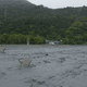 影/馬太鞍溪橋遭沖毀「橋墩孤立洪水中」　最新空拍畫面曝