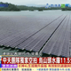 《中天新聞》獨家空拍直擊　烏山頭水庫11.5公頃光電板震撼曝光