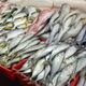 吃對「Omega-3油性魚」抗發炎！鮭魚、秋刀魚上榜