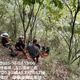 影/八通關古道男墜17層樓深山谷　搜救隊3小時救援