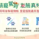 新時代寵物險！旺旺友聯陪您呵護毛孩的一生