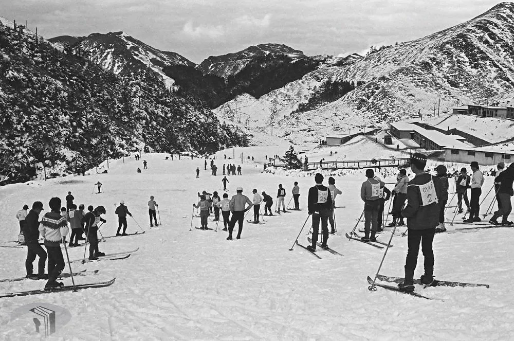 合歡山60多年前曾經有座滑雪場。(圖/翻攝自國發會臉書)