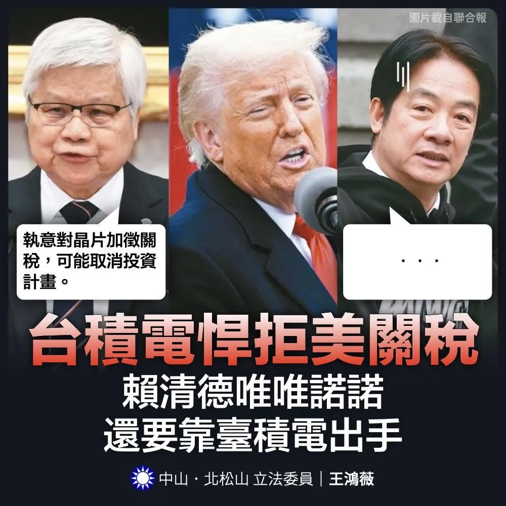 台積電悍拒美關稅，王鴻薇批政府不能當企業靠山令人心寒（攝自王鴻薇臉書）