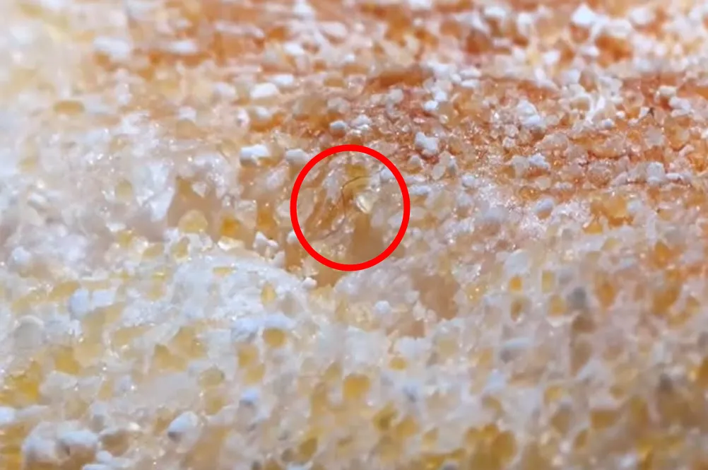 有民眾發現麥當勞的滿福堡廣告海報中,麵包上竟然有一根捲毛。(圖/翻攝Threads/apersonmy120)