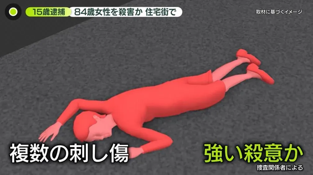 日媒用示意圖呈現老婦人被發現時的狀況。(圖/翻攝NNN)