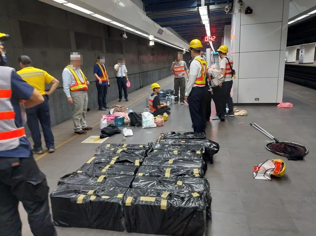 15歲老貓受驚嚇逃出誤入松山火車站軌道。(圖/台北市動物保護處提供)