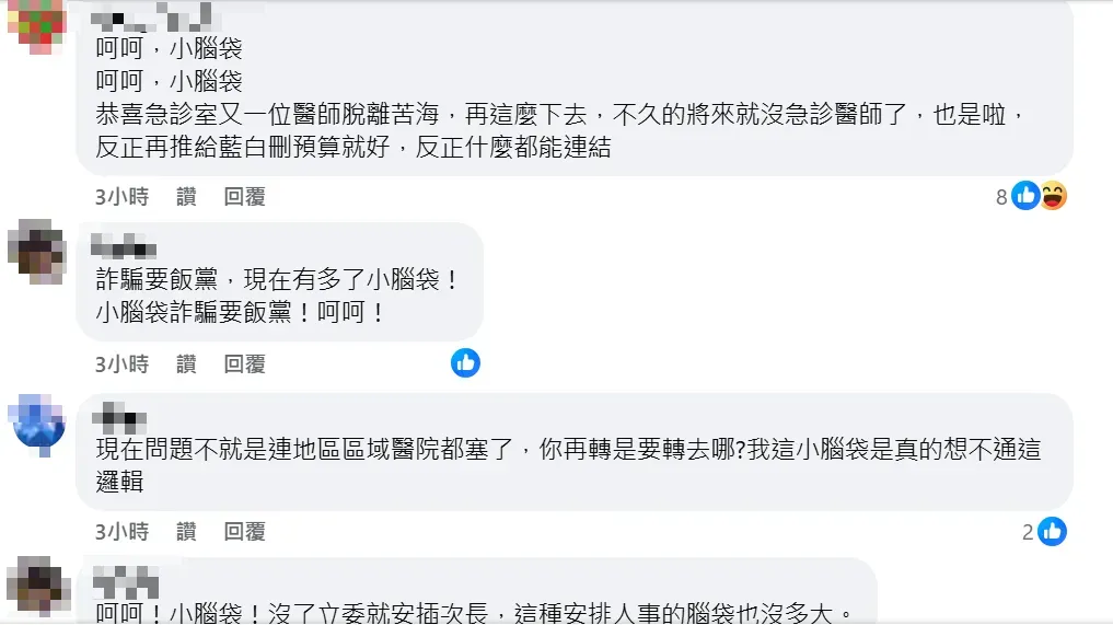 網友留言。（圖取自林靜儀臉書）