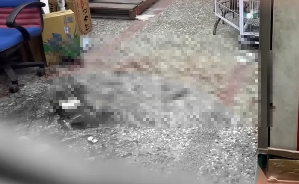 案發現場滿地血跡。（圖/警方提供）