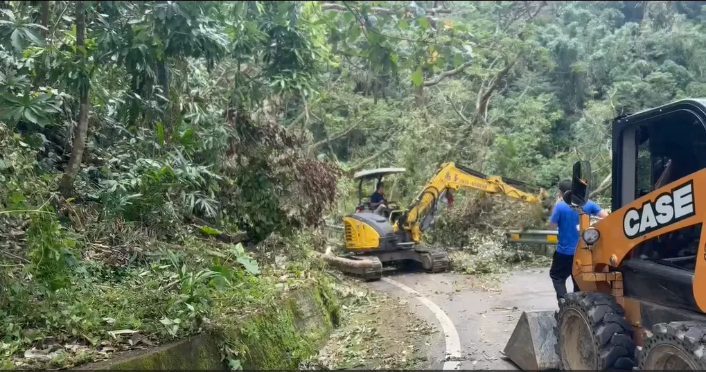 投49線出現坡體崩塌，導致樹木橫躺道路中斷，民眾出門投票一度受阻，現單線搶通後民眾繼續前往投票。（圖/中天新聞）