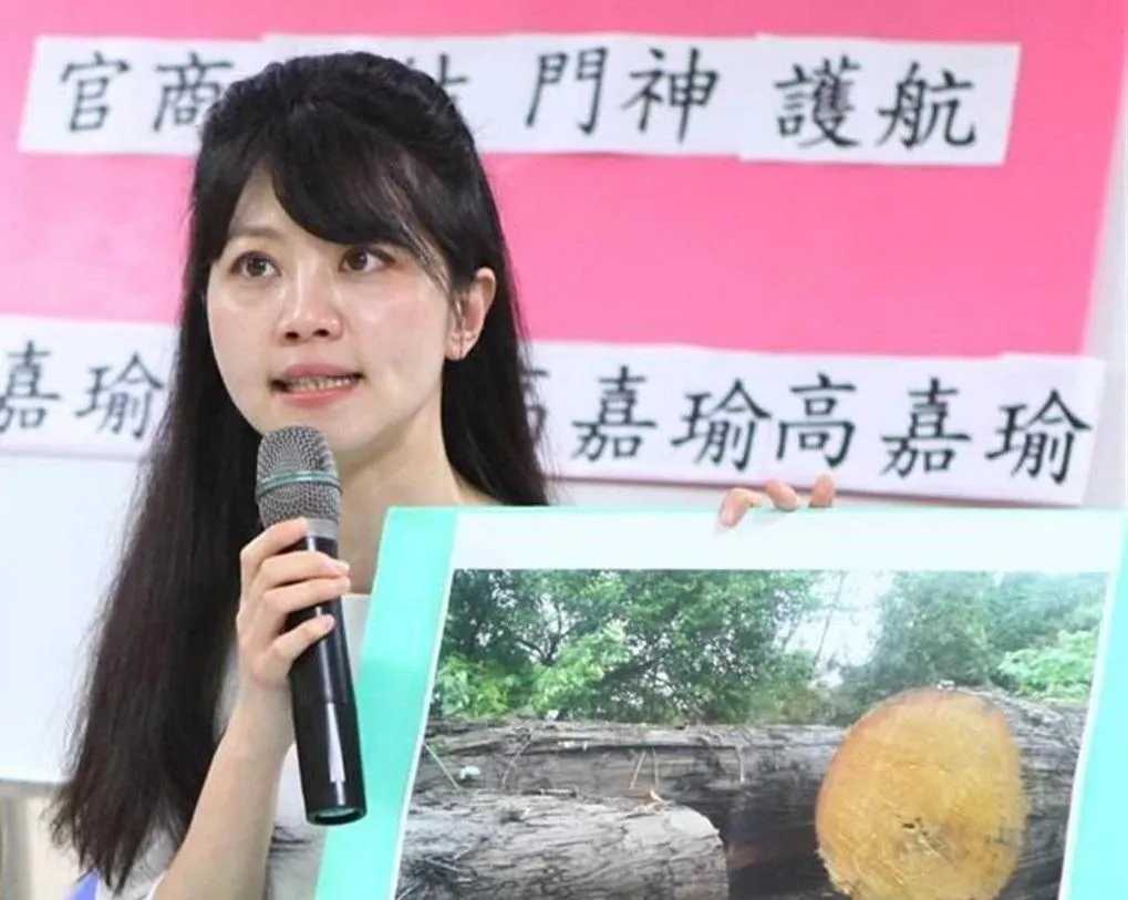 圖為高嘉瑜2015年爆料。(圖/資料照)