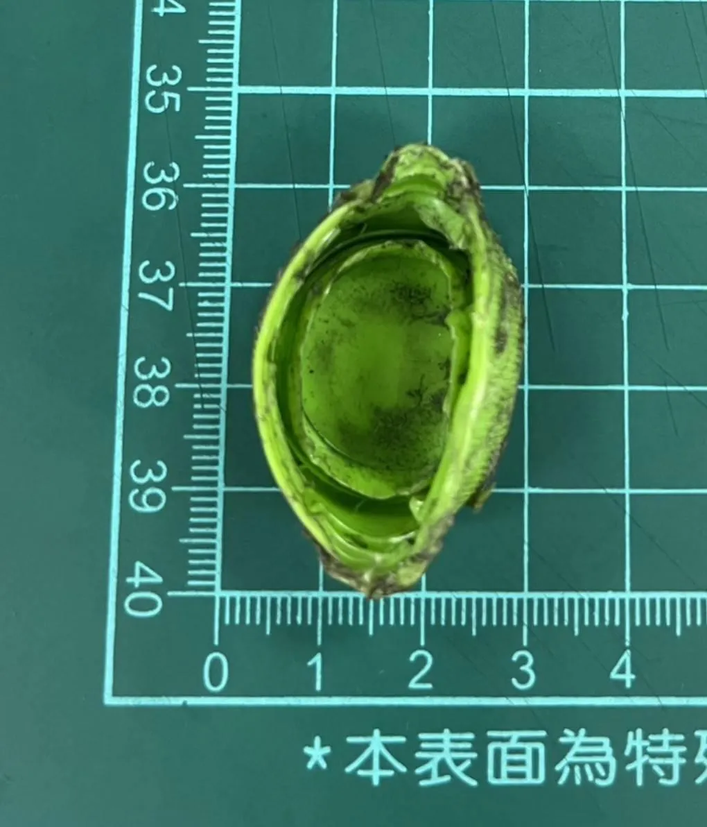 台北捷運板南線善導寺站7日上午8時許發生列車車門無法關閉事件,經查為一個約3.8公分長、1公分高的變形瓶蓋卡在車門。(圖/北捷提供)