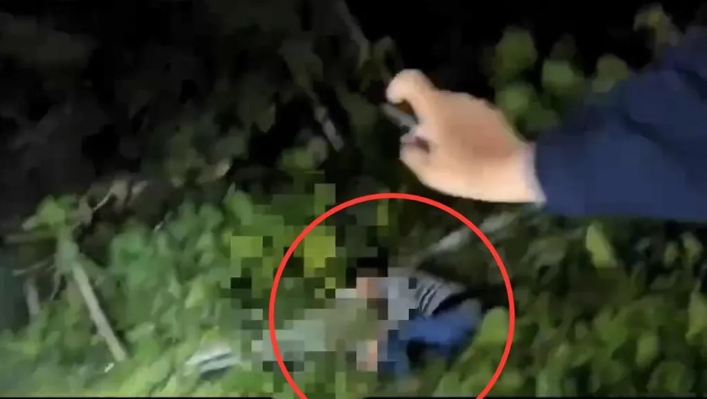 嫌犯躲在樹叢遭警方查獲。(圖/翻攝畫面)