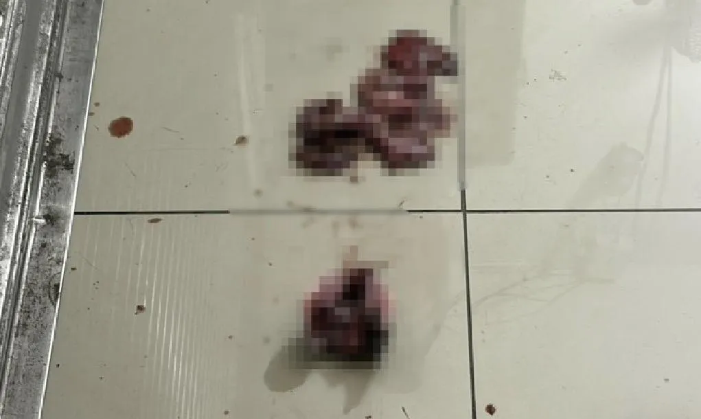 頭前里里長辦公室日前遭人潑灑魚內臟。（圖／翻攝畫面）