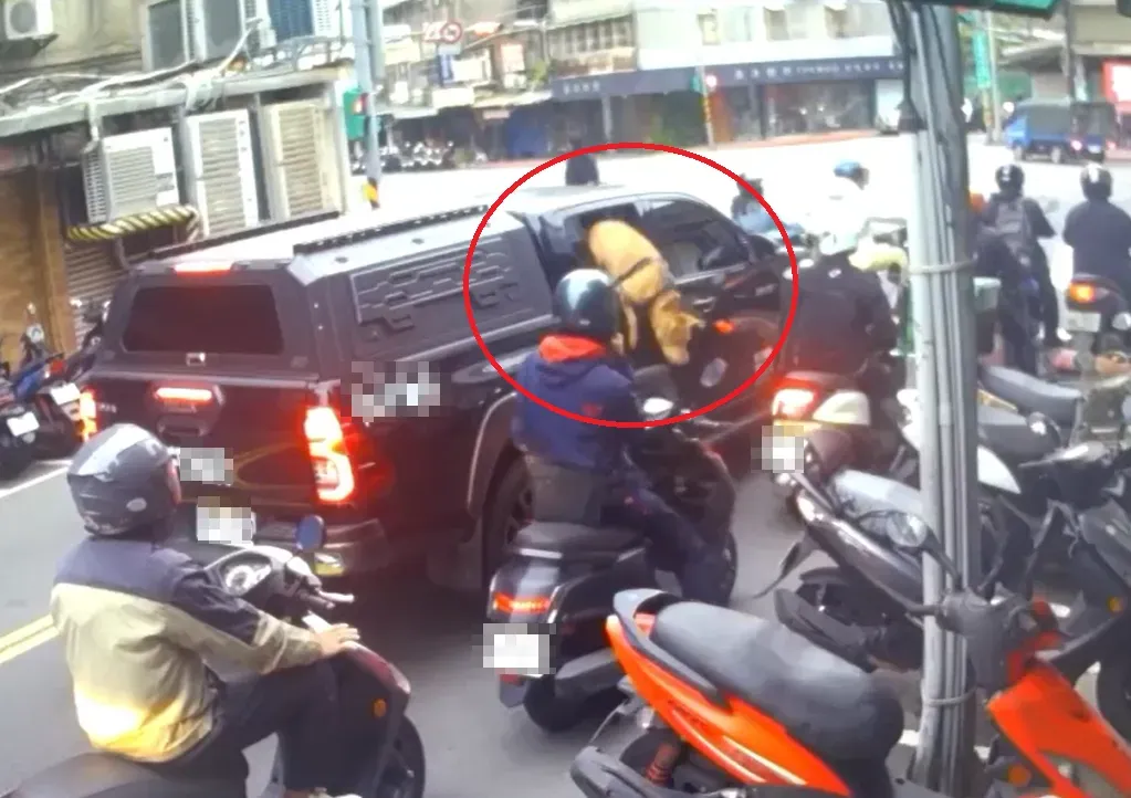 比特犬傷人事件。（圖／翻攝畫面）
