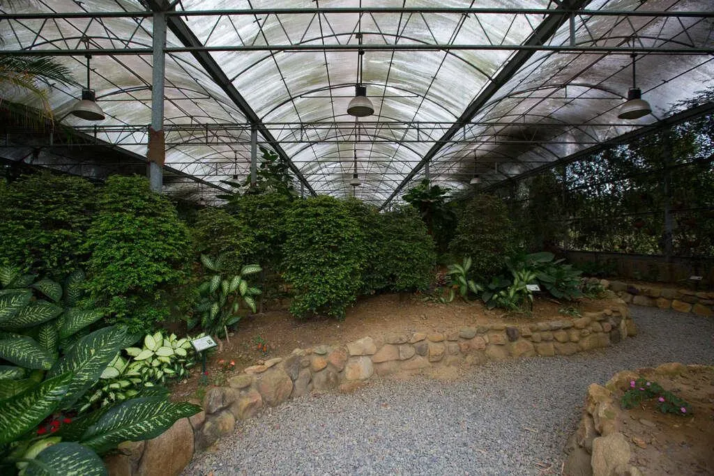 大坪頂熱帶植物園。（圖／翻攝自高雄旅遊網）