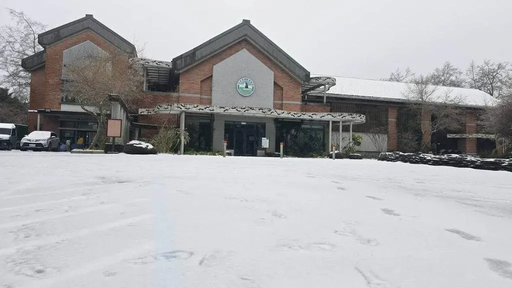 入冬首波寒流影響，雪霸國家公園海拔約2000公尺的觀霧遊憩區27日凌晨開始降雪，山椒魚生態中心外一片銀白世界。（圖／雪管處提供）