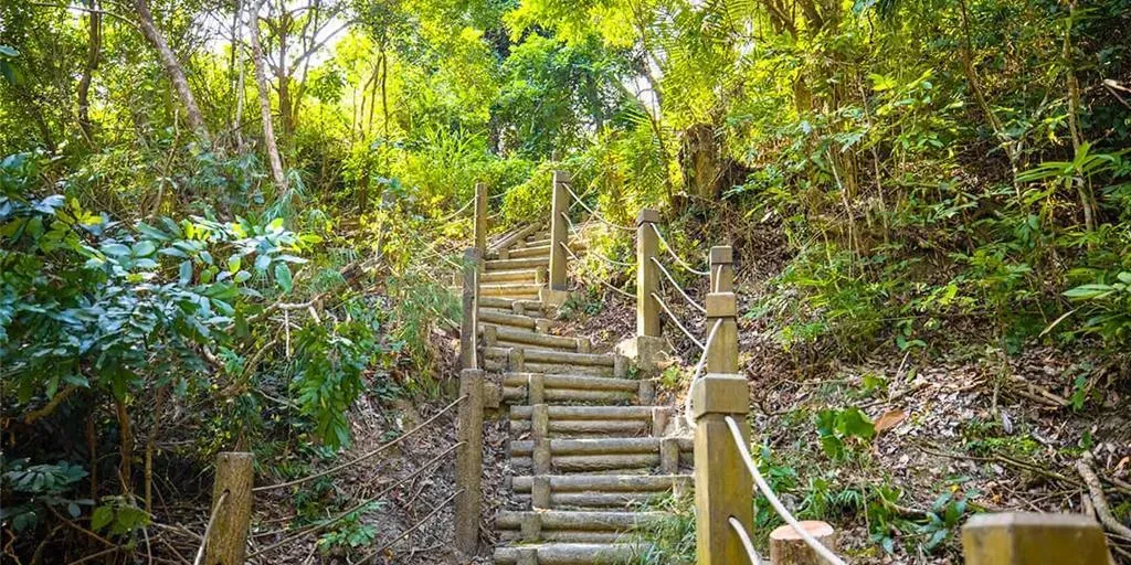 台中市潭子新田登山步道距離市區不遠，平時就有不少民眾喜歡來此健走。（圖／台中市政府提供）