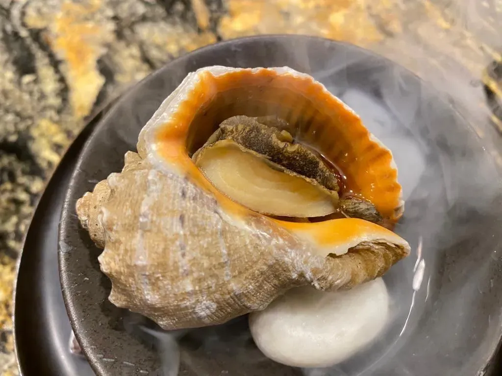 帝王螺口感微脆有嚼勁，介於生鮑魚和熟鮑魚之間。（圖／黃宏輝提供）