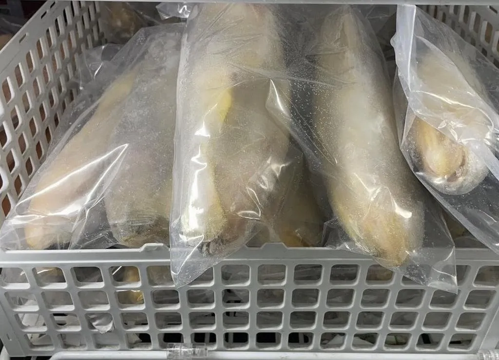 食藥署公布114年3至4月份衛生單位檢測禽畜水產品藥物殘留結果，發現一批從大陸進口的小黃魚，驗出動物用藥「恩氟奎林羧酸」違規。（圖／食藥署提供）&nbsp;