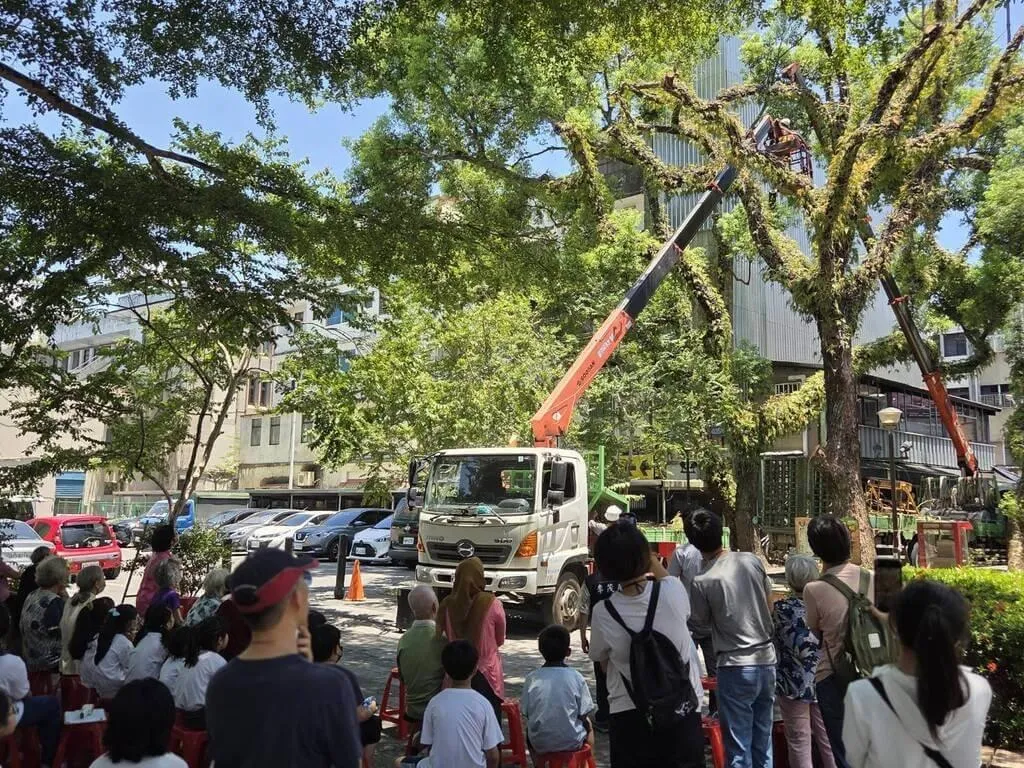 宜蘭縣文化景觀「宜蘭醫院老樹群」相傳是歌手羅大佑創作名曲「童年」靈感，其中1棵樟樹因患褐根病死亡。（圖／宜蘭縣樹藝景觀所提供）