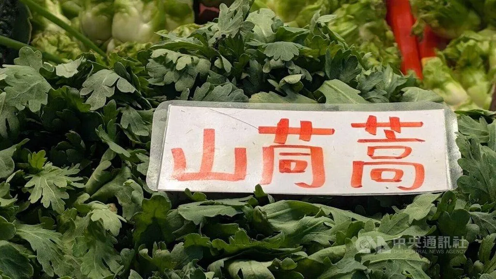 飲食與近視有關，每天達2碗山茼蒿、菠菜、芥藍菜等深綠色蔬菜，近視風險比不吃菜少3成，同時建議吃胡蘿蔔、紅椒、黃椒等深黃紅色蔬菜。（圖／中央社）