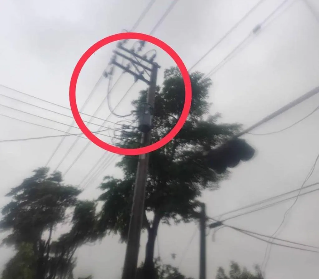 台電高雄區處指出,楊柳颱風來襲,下午1時過後高雄風雨漸增,造成高壓斷線。(圖/台電高雄區處提供)