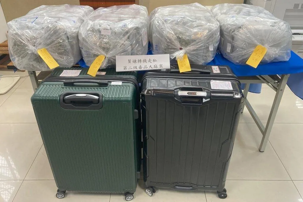 箱內夾藏68包二級毒品大麻,淨重達33431.54公克,市值逾4500萬元。(圖/航空警察局提供)
