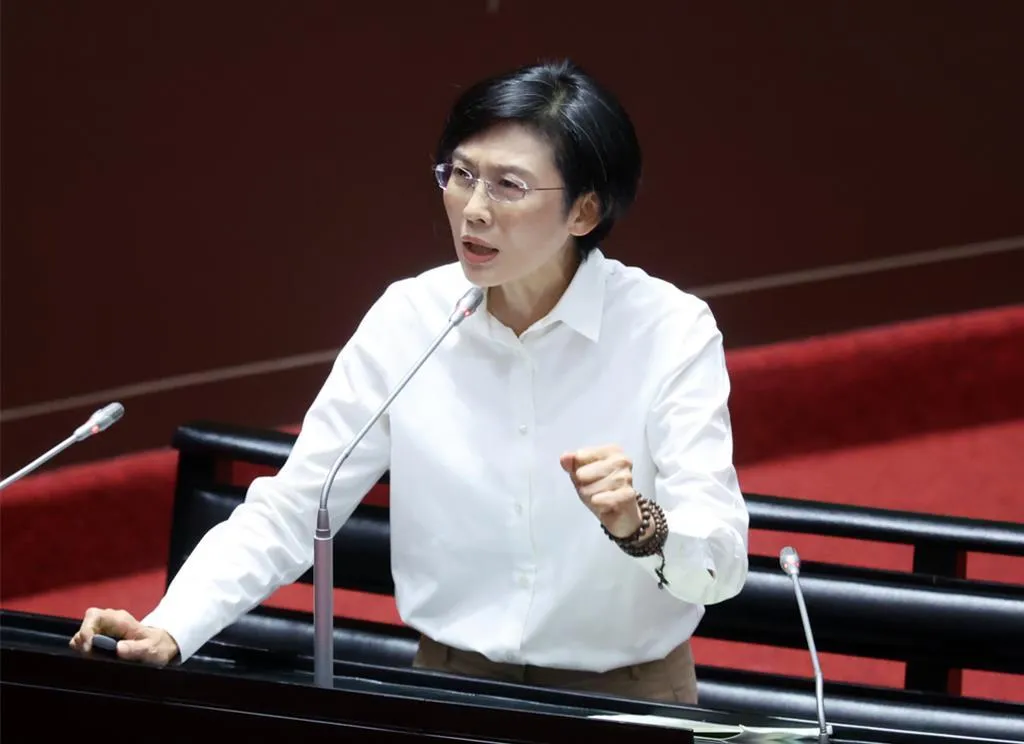 民進黨立委林岱樺。（圖/資料照）
