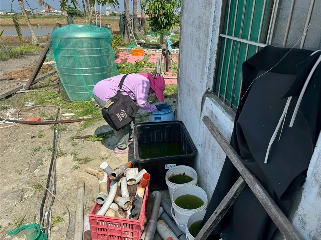 台南市一口氣傳出今年首見的2起本土登革熱確診個案，市府衛生局呼籲民眾加強清除積水容器，落實「巡、倒、清、刷」。（圖／台南市衛生局）