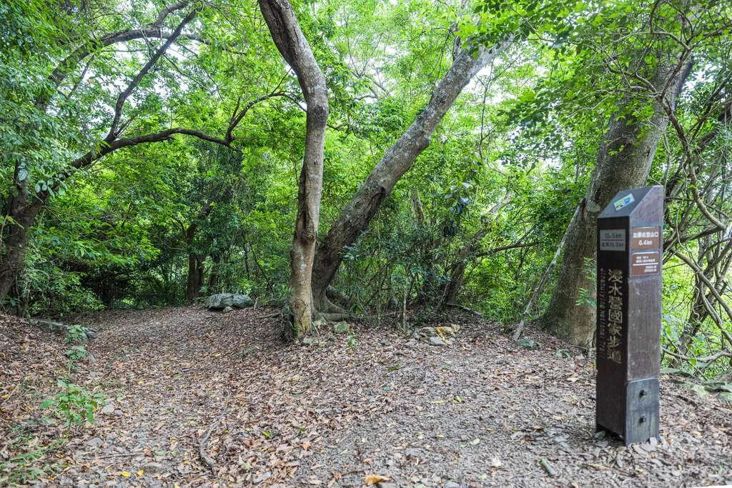 因應鳳凰颱風來襲,北大武山及浸水營國家步道西段10日中午12時起預警性關閉。(圖/資料照/翻攝自台東觀光旅遊網)