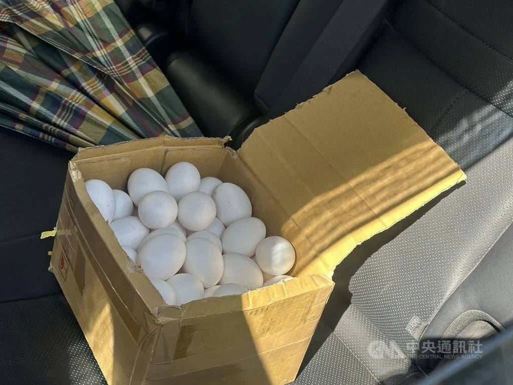 圖為台中民眾10日在梧棲區龍忠蛋行購買的雞蛋。(圖/中央社)