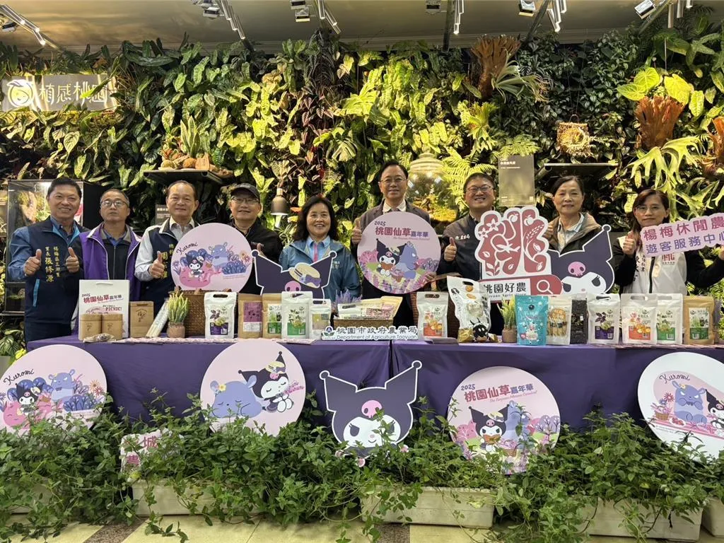 桃園市長張善政18日出席宣告記者會，他表示，今年展區結合2公頃仙草花與2.1公頃波斯菊花田，並邀請人氣角色酷洛米擔任花之使者。（圖/中國時報）