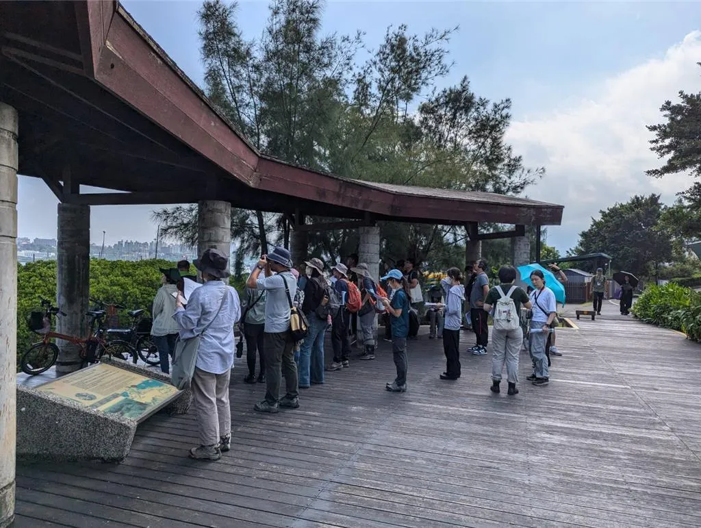 挖子尾自然保留區每到秋冬時節都會成為候鳥南遷的重要中繼站，正適合民眾前往欣賞鳥類停棲。（圖／新北市農業局提供）