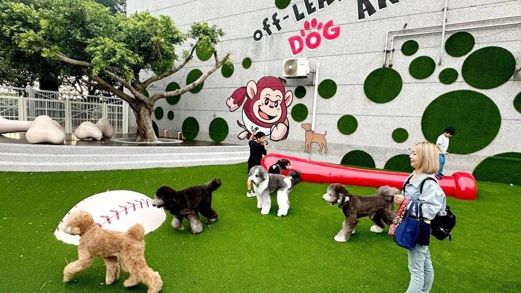 桃園市政府與中職樂天桃猿隊合作，在職棒球場內打造全台首創寵物友善專區。（圖／動保處）