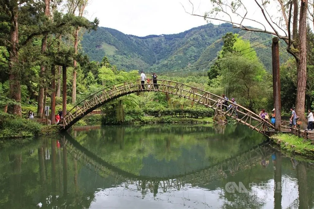 圖為溪頭園區景觀。（圖／中央社）