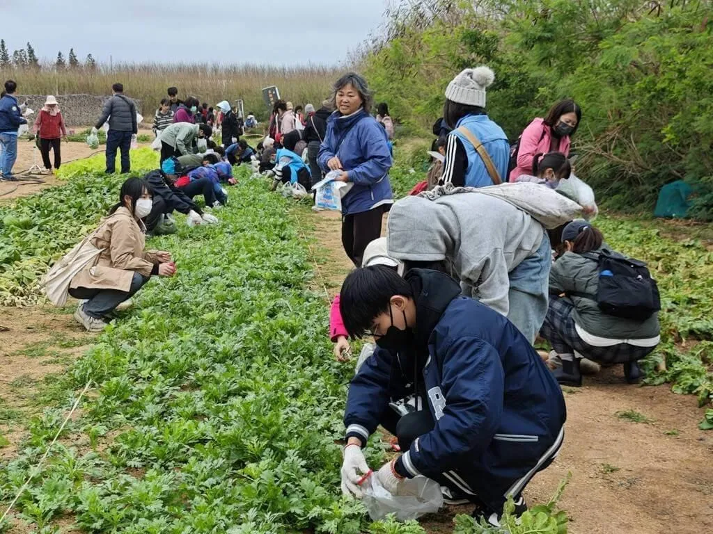 澎湖縣湖西鄉公所13日主辦「來趣湖西~山海食旅活動」探索山林與海洋，親子參與者在寒風中體驗採青菜與扒貝殼，享受豐盛生態饗宴。（澎湖湖西鄉公所提供）