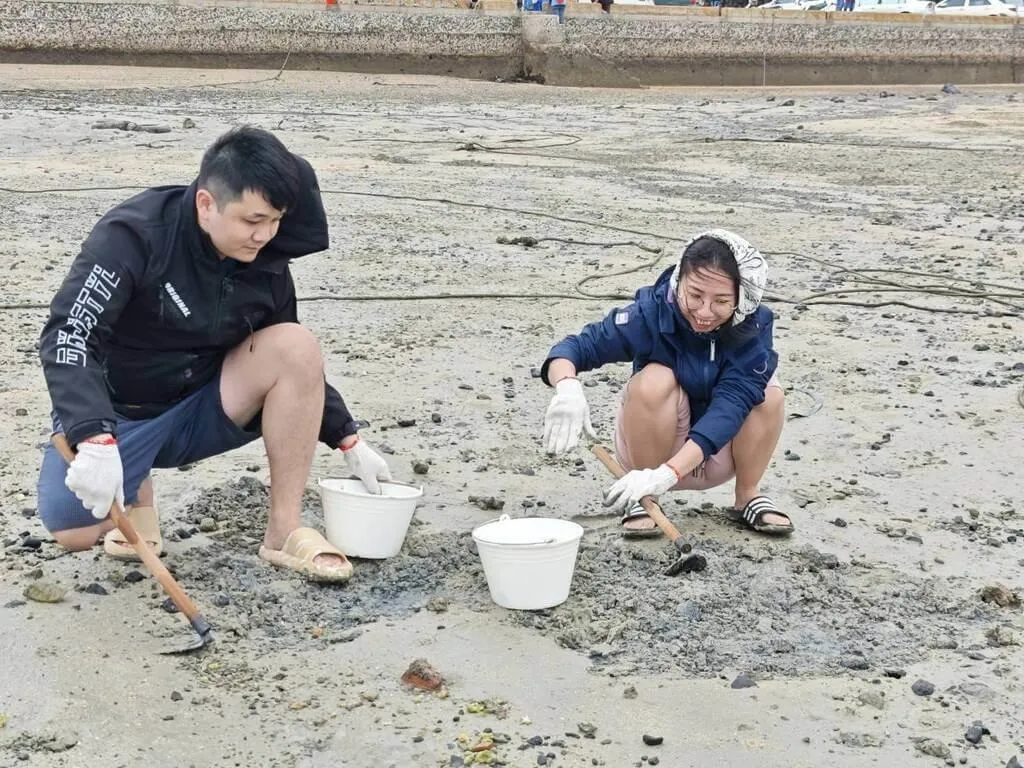 澎湖縣湖西鄉公所13日主辦「來趣湖西~山海食旅活動」探索山林與海洋，親子參與者在寒風中體驗採青菜與扒貝殼，認識與愛惜這片土地的美。（澎湖湖西鄉公所提供）
